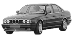 BMW E34 P203E Fault Code